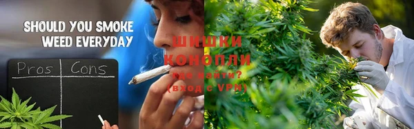 мяу мяу мука Гусев