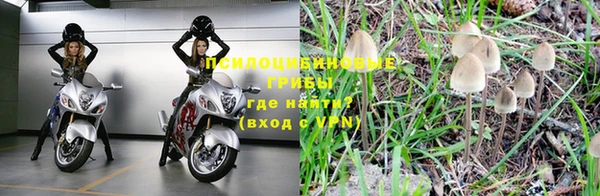 мяу мяу мука Гусев