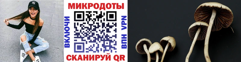 Галлюциногенные грибы ЛСД Кузнецк